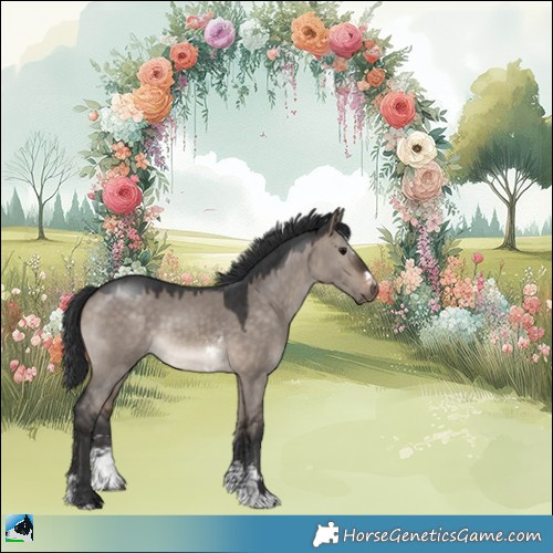 Horse Color:Brown Dun Mushroom Sabino 