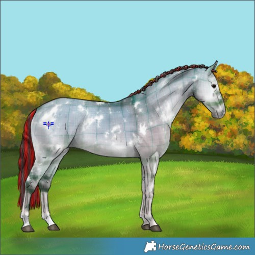 Horse Color:Painted Plaid  White Spotted Brown Onyx 