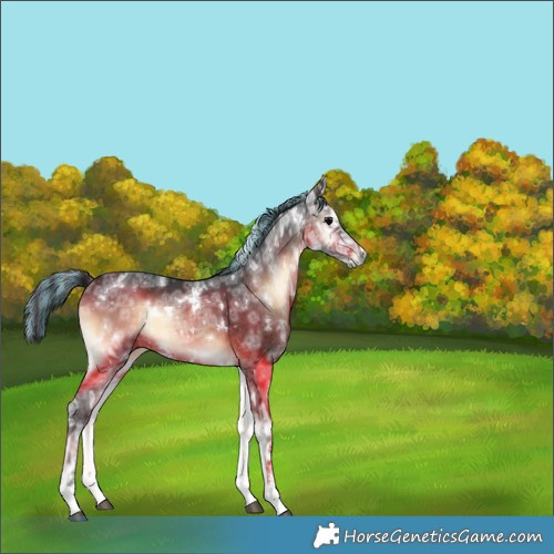 Horse Color:Painted White Spotted Brown Ice Onyx 