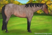 Horse Color:Bay Roan Rabicano 