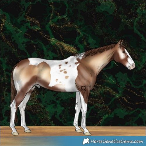 Horse Color:Red Onyx Tobiano 