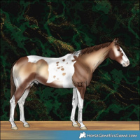 Horse Color:Red Onyx Tobiano