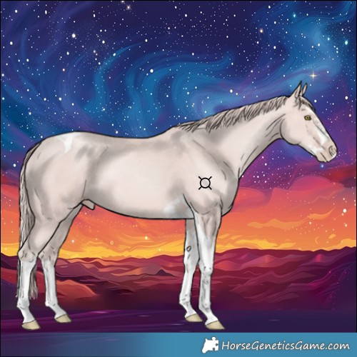 Horse Color:Platinum Gold Champagne Splash Tobiano 