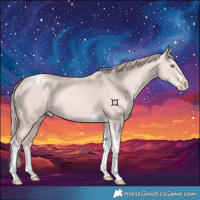 Horse Color:Platinum Gold Champagne Splash Tobiano 