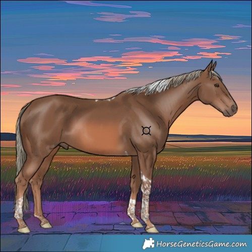 Horse Color:Chestnut Mushroom Tobiano