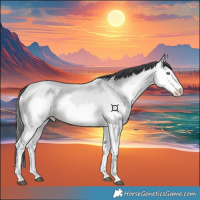 Horse Color:Bay Chinchilla Splash 