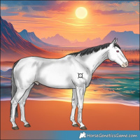 Horse Color:Bay Chinchilla Splash