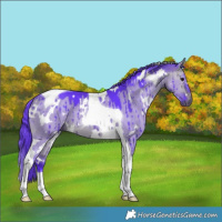 Horse Color:Watercolor White Spotted Bay Dun Tobiano Brindle 
