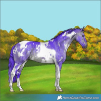 Horse Color:Watercolor White Spotted Bay Dun Tobiano Brindle 