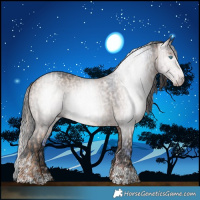 Horse Color:Gray White Spotted Gold Champagne Dun Rabicano Brindle  and Brown Dun Tobiano Rabicano Brindle 