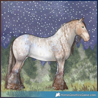 Horse Color:Amber Champagne Tobiano Appaloosa and Gray White Spotted Gold Champagne Dun Appaloosa