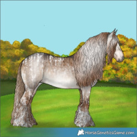 Horse Color:Gray Liver Red Dun Roan Tobiano Appaloosa and Gray White Spotted Liver Red Dun Tobiano Brindle