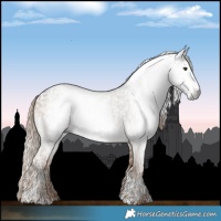 Horse Color:Gray Liver Red Dun Roan Tobiano Blanket and Gray White Spotted Liver Red Dun Tobiano Brindle