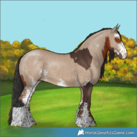 Horse Color:Bay Tobiano  and Liver Red Dun Sabino 