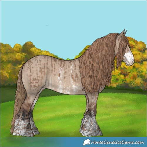 Horse Color:Liver Red Dun Brindle  and Liver Red Dun Sabino Rabicano 