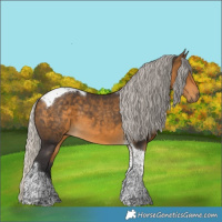 Horse Color:Silver Buckskin Tobiano 