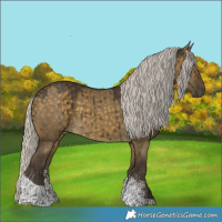 Horse Color:Silver Buckskin Dun Sabino Tobiano Rabicano Brindle 