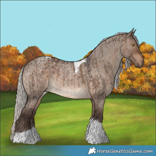 Horse Color:Silver Brown Dun Tobiano  and Silver Brown Roan Dun Tobiano 