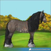 Horse Color:Brown Dun Tobiano  and Gray Grullo 