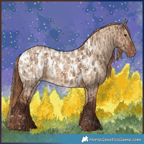 Horse Color:Liver Red Dun Tobiano Appaloosa Brindle  and White Spotted Red Dun Appaloosa 