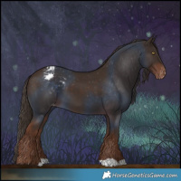 Horse Color:Liver Chestnut Varnish