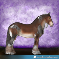 Horse Color:Buckskin Tobiano Varnish and Liver Chestnut Tobiano