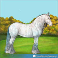 Horse Color:Amber Champagne Roan Varnish  and Amber Champagne Roan Fewspot 