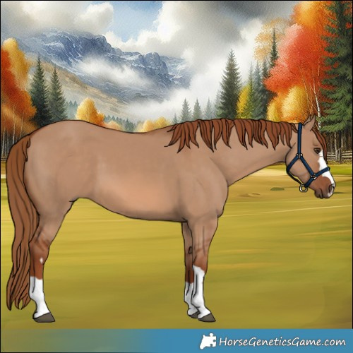 Horse Color:Red Dun 