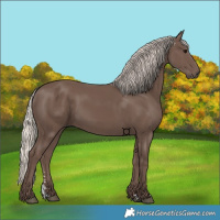 Horse Color:Silver Black 