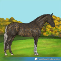 Horse Color:Silver Buckskin Tobiano 