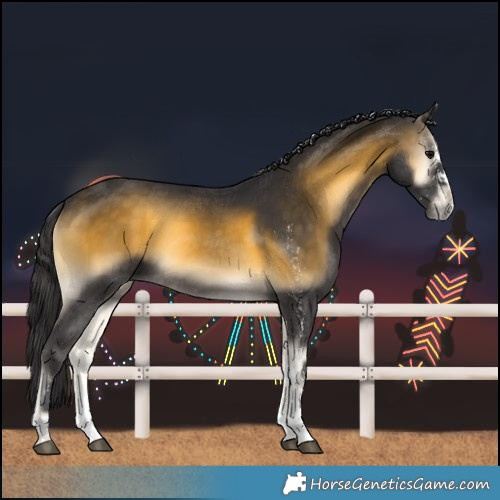 Horse Color:White Spotted Buckskin Onyx Rabicano 