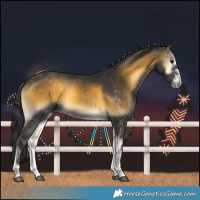 Horse Color:White Spotted Buckskin Onyx Rabicano 