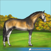 Horse Color:White Spotted Buckskin Onyx Rabicano 