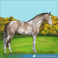 Horse Color:Liver Red Dun Splash Tobiano  and Gray Liver Red Dun Sabino Splash Tobiano 