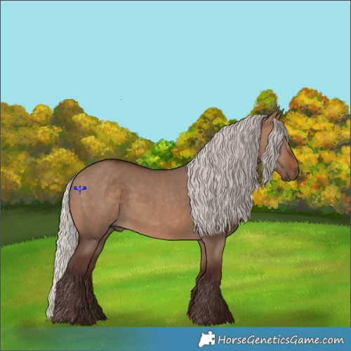 Horse Color:Silver Brown Dun 