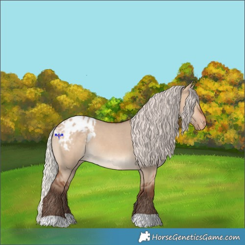 Horse Color:Silver Brown Dun Blanket 