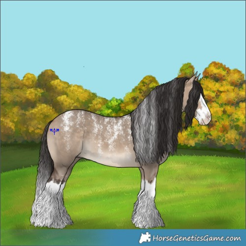 Horse Color:Powder White Bay Dun Splash 