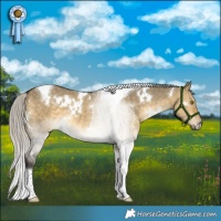 Horse Color:White Spotted Silver Buckskin Dun Tobiano 