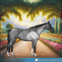 Horse Color:Blue Roan Tobiano