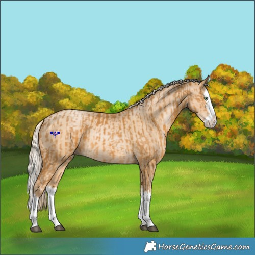 Horse Color:Palomino Splash  and Palomino Pearl Splash 