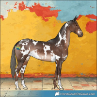 Horse Color:White Spotted Liver Chestnut Mushroom 