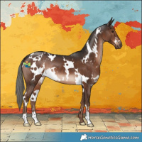Horse Color:White Spotted Liver Chestnut Mushroom