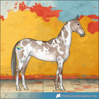 Horse Color:White Spotted Liver Red Dun Mushroom 