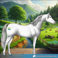 Horse Color:Liver Red Dun Mushroom Sabino Appaloosa
