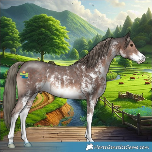 Horse Color:Liver Chestnut Mushroom Sabino 