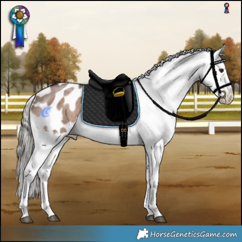Horse Color:Liver Red Dun Mushroom Sabino Appaloosa Brindle 