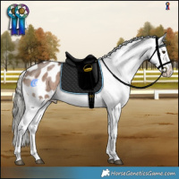 Horse Color:Liver Red Dun Mushroom Sabino Appaloosa Brindle