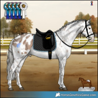 Horse Color:Liver Red Dun Mushroom Sabino Snowflake Varnish Brindle 