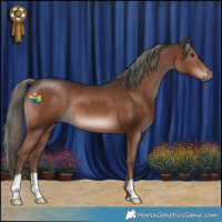 Horse Color:Liver Chestnut Mushroom 