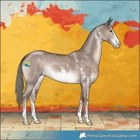 Horse Color:Liver Red Dun Mushroom Sabino Brindle 